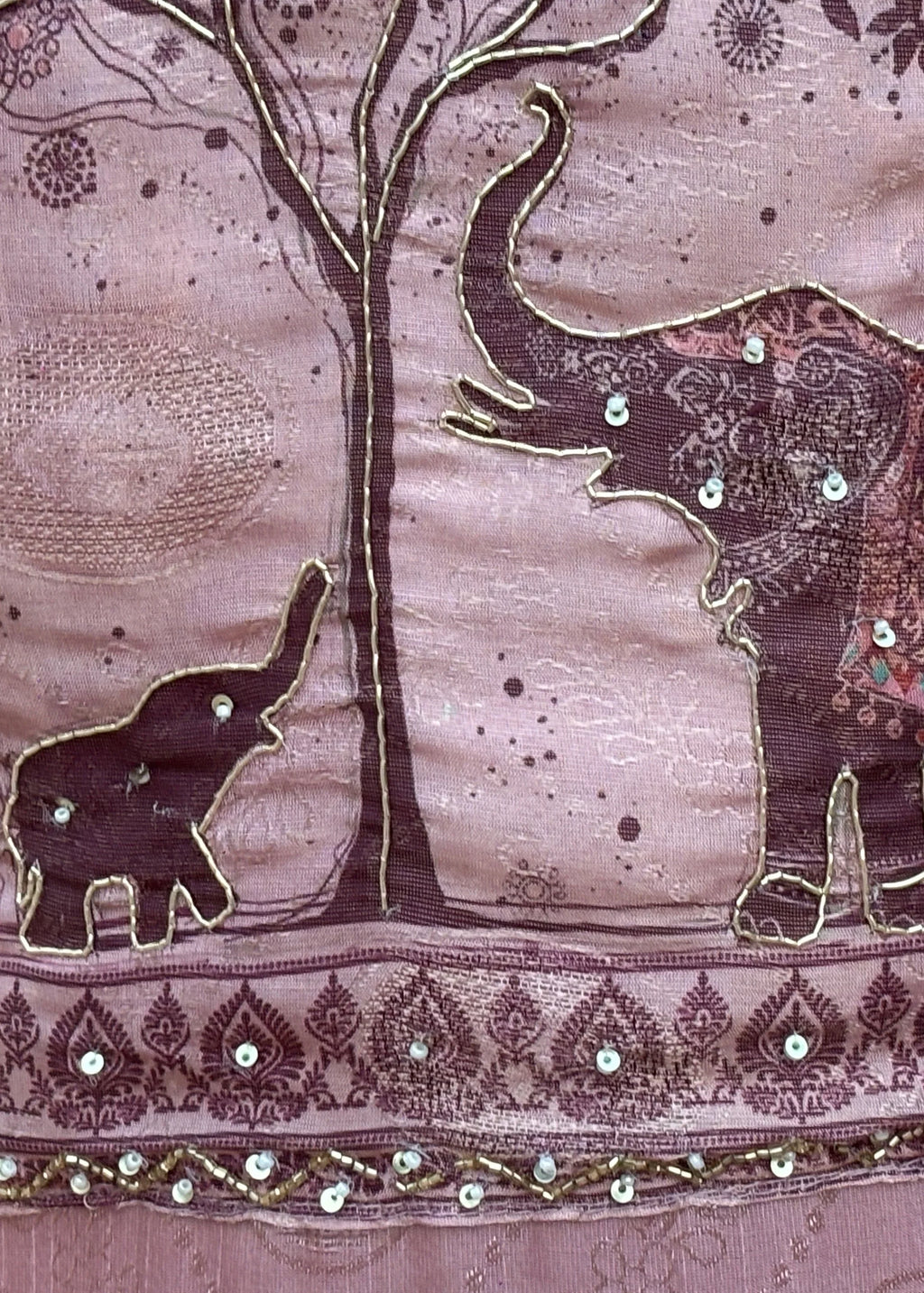 Gajraj suit